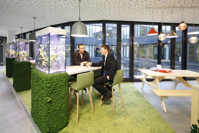 6362934223434103398202266.jpg 6362934223434103398202266.jpg